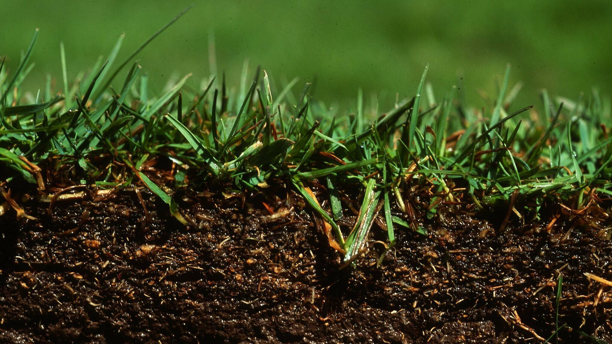 importancia suelo cambio climatico|importancia suelo cambio climatico|importancia suelo cambio climatico|importancia suelo cambio climatico